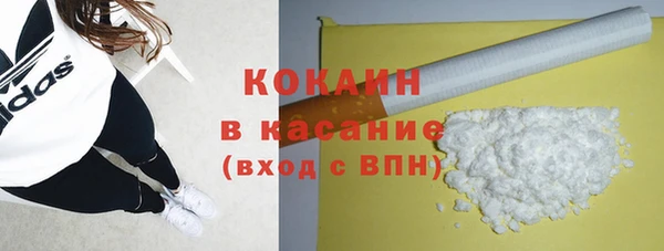 не бодяженный Галич