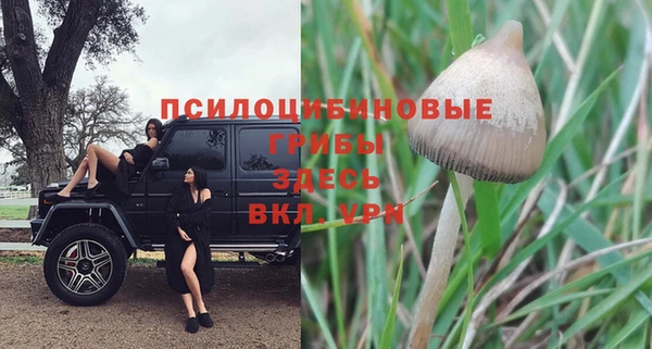 шишки Пестово