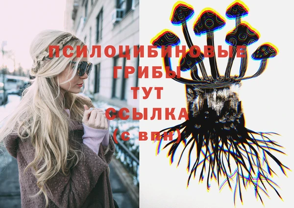 мдпв Пересвет