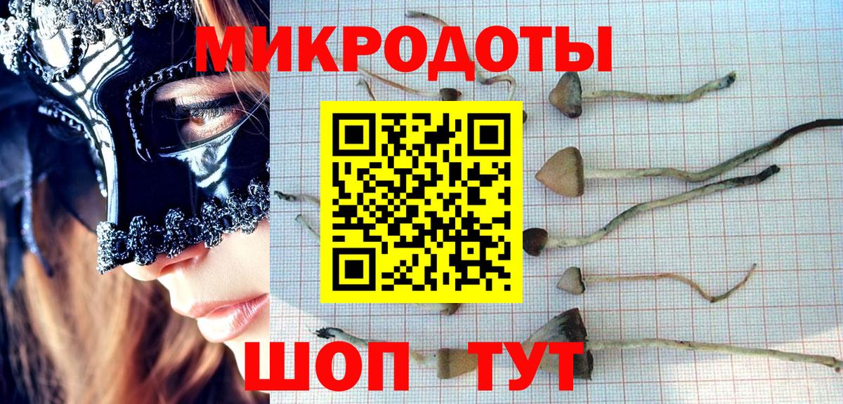 Галлюциногенные грибы мицелий Балашиха