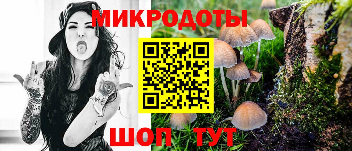Псилоцибиновые грибы ЛСД  купить наркотики цена  Галлюциногенные грибы GOLDEN TEACHER  Балашиха  Вход с VPN 