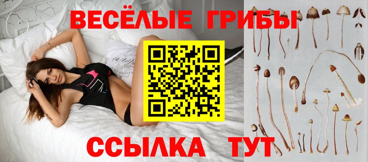 Псилоцибиновые грибы ЛСД  купить наркотики цена  Псилоцибиновые грибы мухоморы  Балашиха 