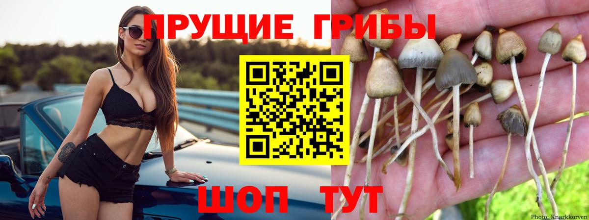Псилоцибиновые грибы мухоморы Балашиха